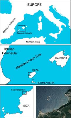 Deciphering the ecology of the threatened microendemic species Euphorbia margalidiana